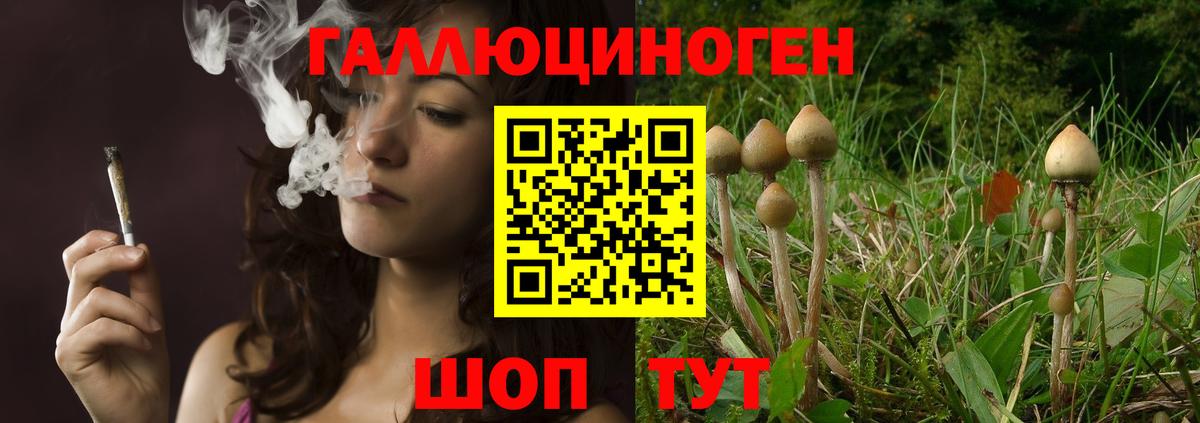 Псилоцибиновые грибы ЛСД Карпинск